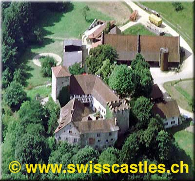 wildenstein