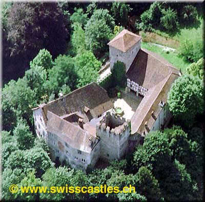 wildenstein
