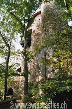 Reichenstein