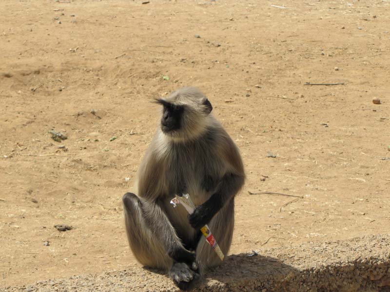 Rajastan, Chittorgarh