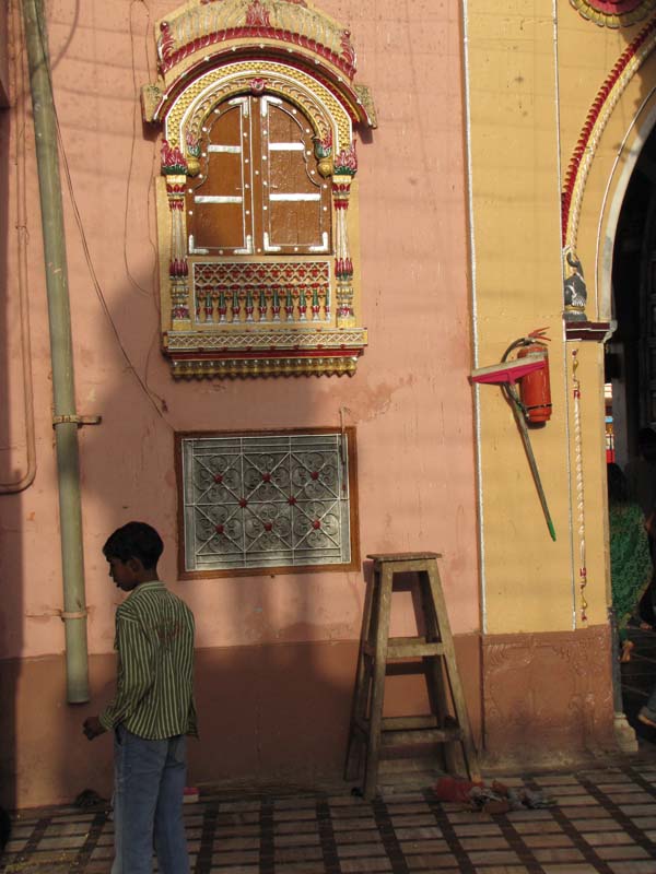 Rajastan, Deshnoke et le temple des rats