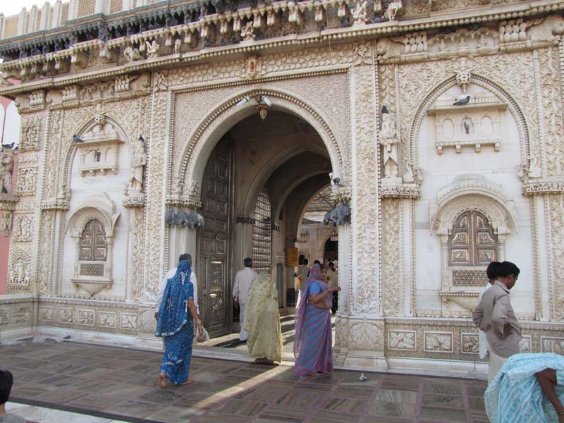 Rajastan, Deshnoke et le temple des rats