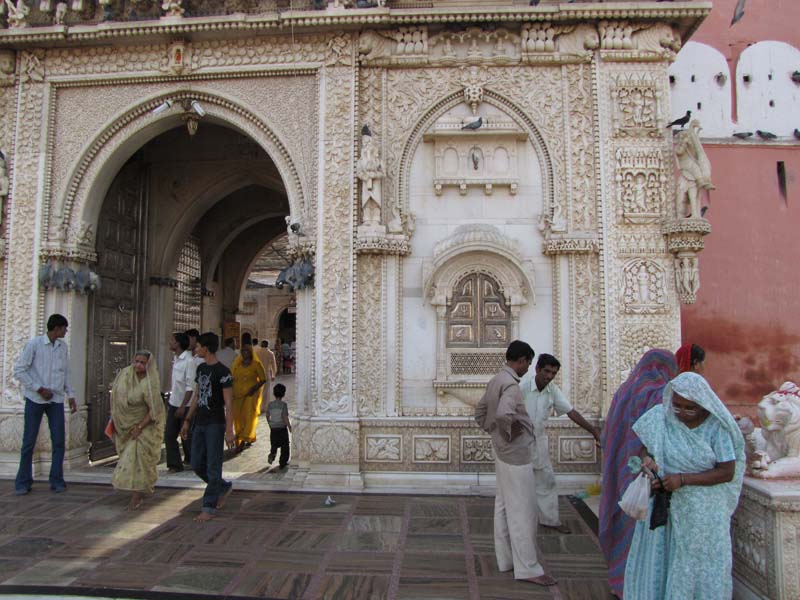 Rajastan, Deshnoke et le temple des rats