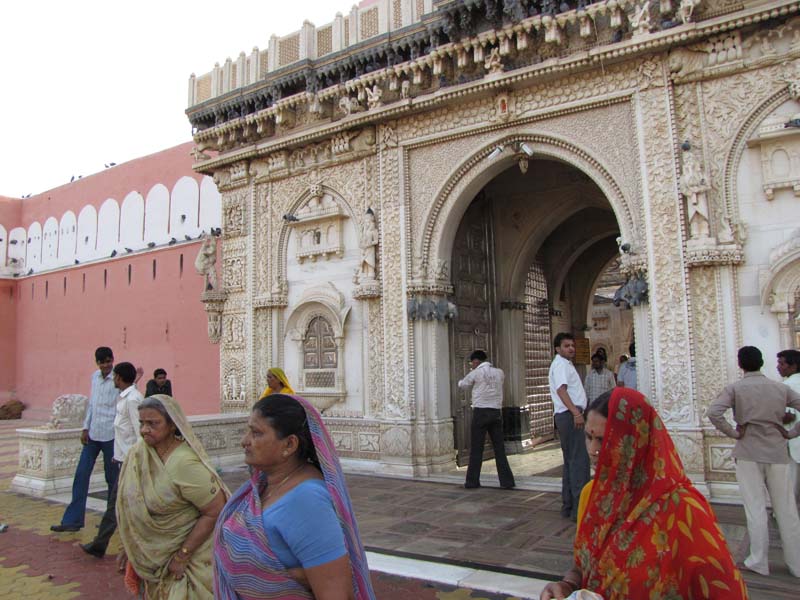 Rajastan, Deshnoke et le temple des rats