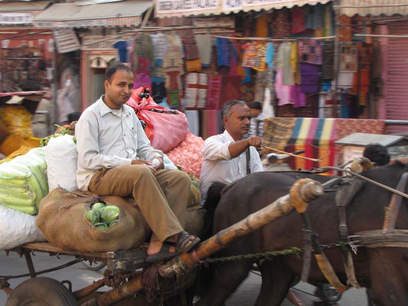 Rajastan,  Jaipur Pink City