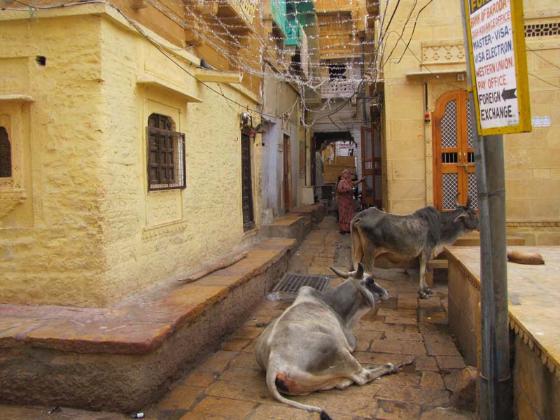 Rajastan, Jaisalmer