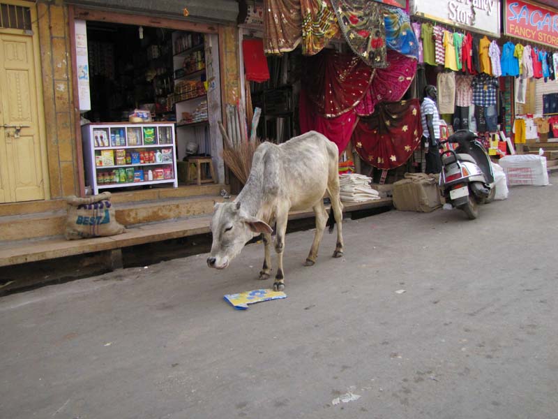 Rajastan, Jaisalmer