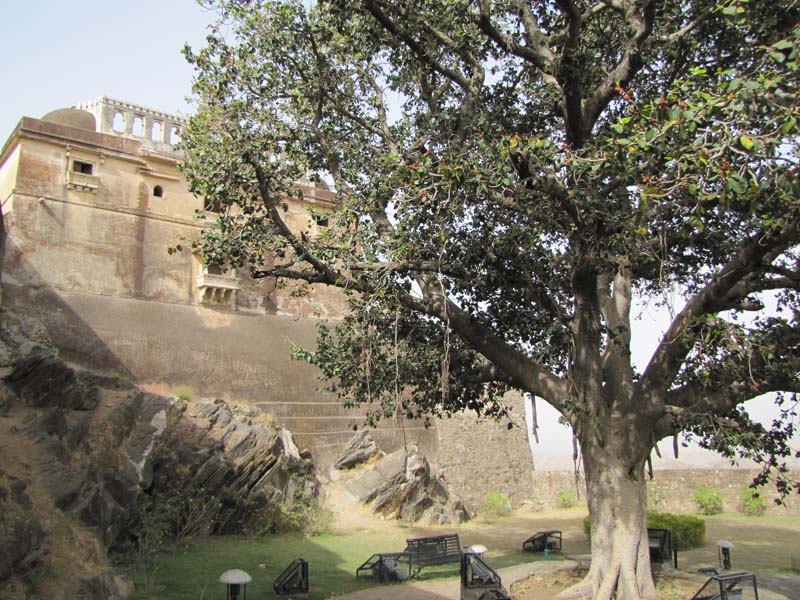 Rajastan, Le fort de Kumbalgarh