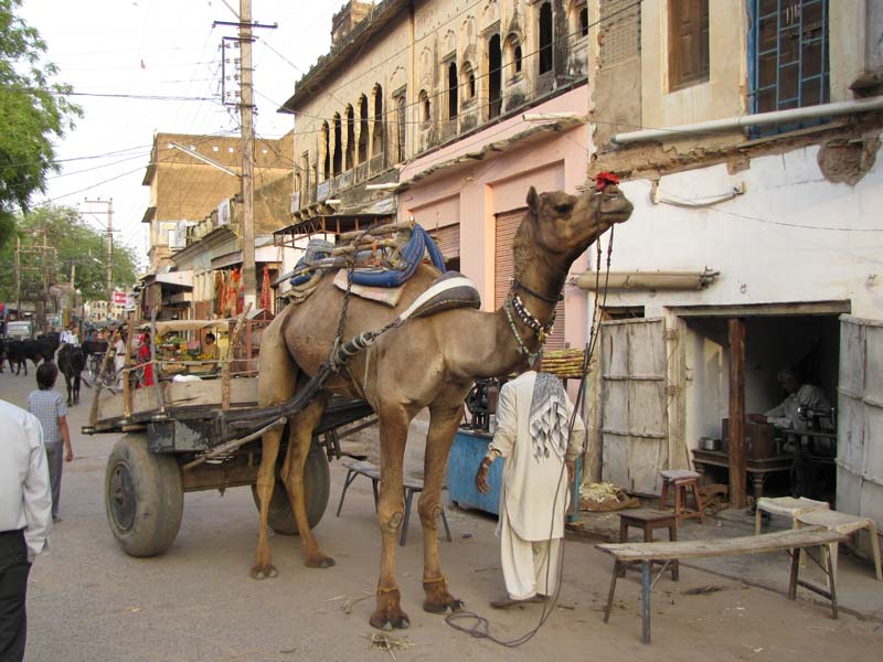 Rajastan, Mandawa