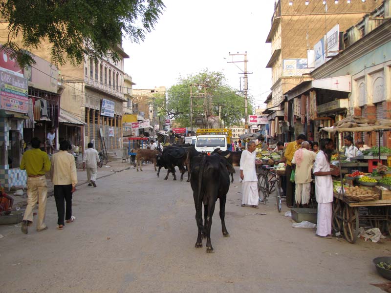 Rajastan, Mandawa