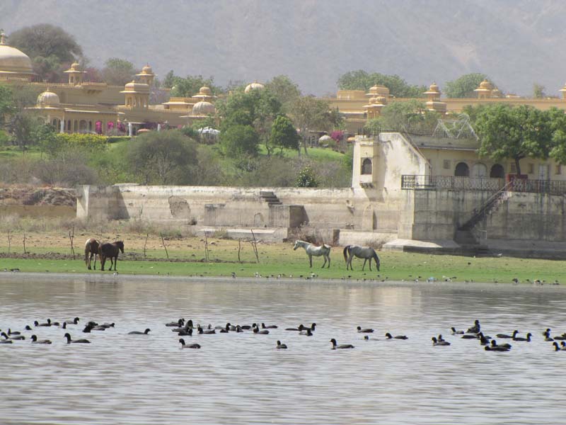 Rajastan, Udaipur