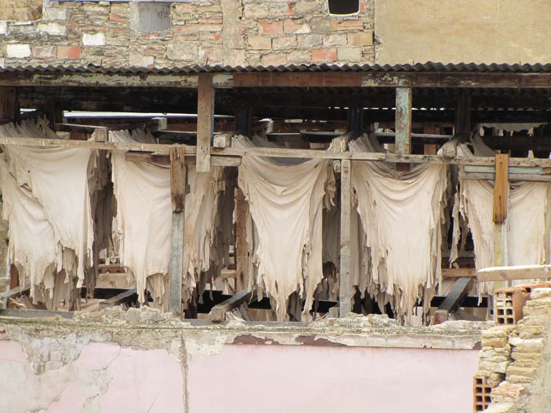 Maroc, fes