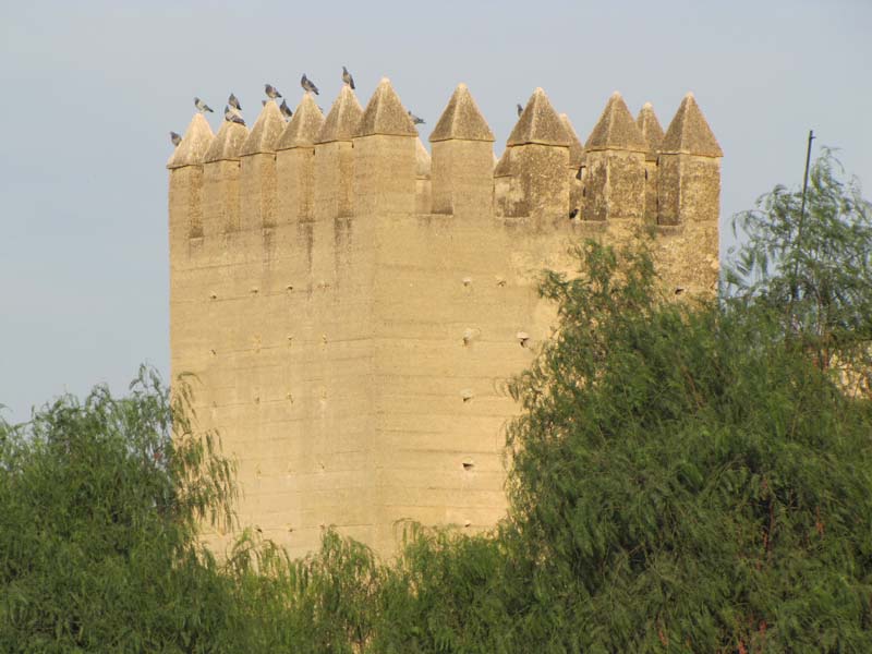 Maroc, fes