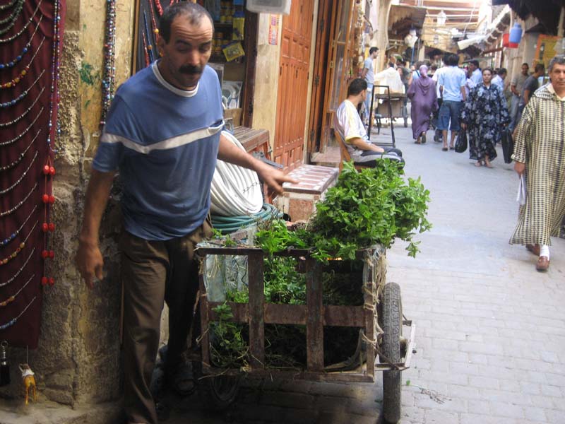 Maroc, fes