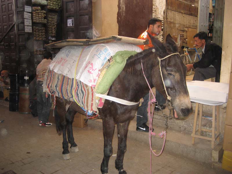 Maroc, fes