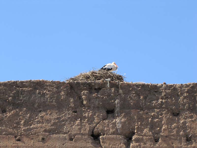 Maroc, Marrakech