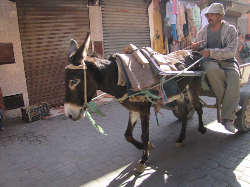 Maroc, Marrakech