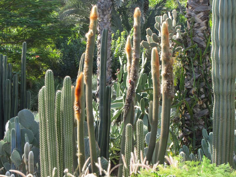 Maroc, Marrakech