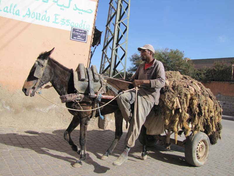 Maroc, Marrakech