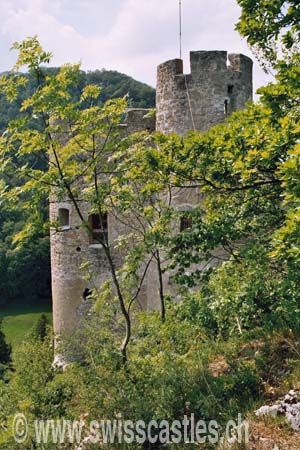 Neu Thierstein