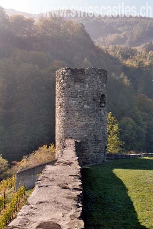 Freudenberg