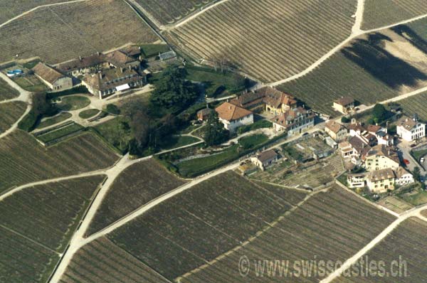 vinzel