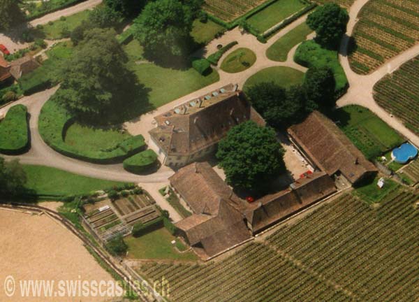 vinzel