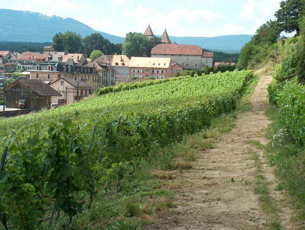 chateau eclepens vignoble