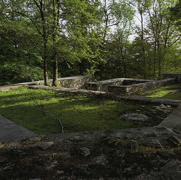 Alt - Landenberg