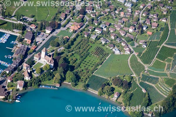 Spiez