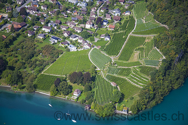 Spiez