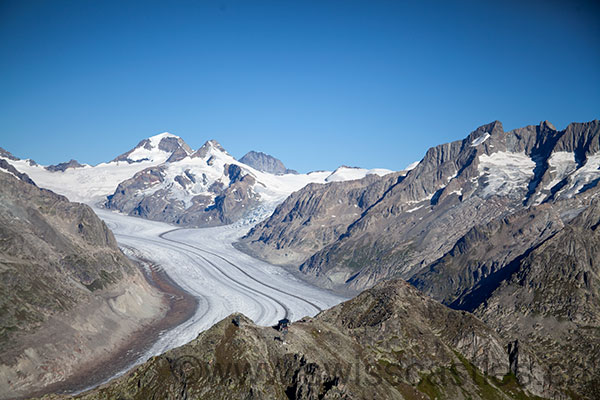 Le glacier d'Aletsch