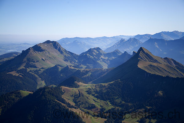 dent de Lys