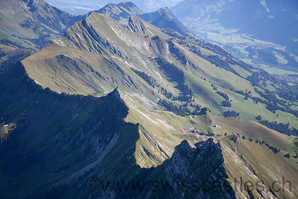 dent de Lys