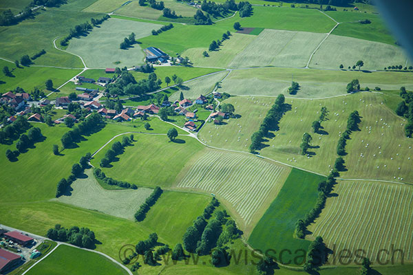 Les Verrieres