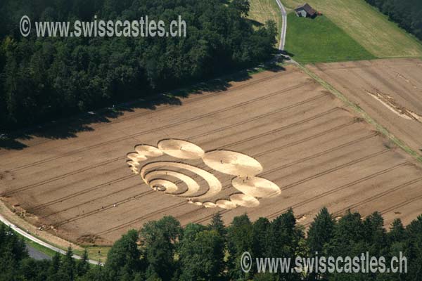 Lausanne crop circle