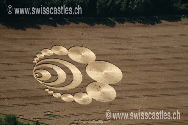 Lausanne crop circle