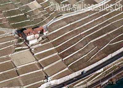 Lavaux