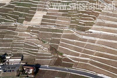 Lavaux