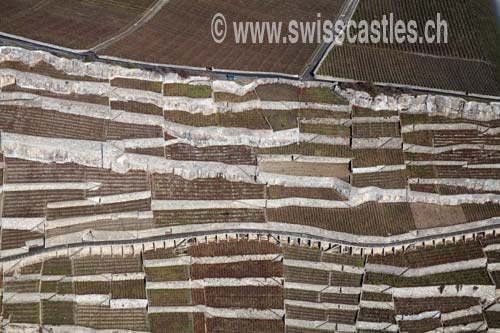 lavaux UNESCO