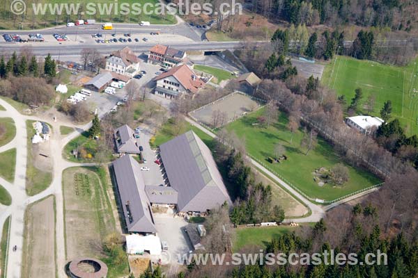 Lausanne crop circle