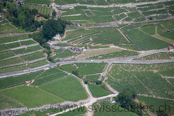 lavaux UNESCO