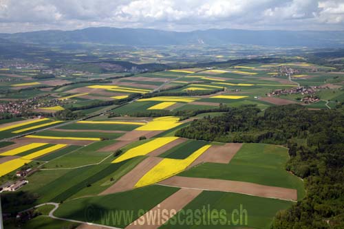 Campagne