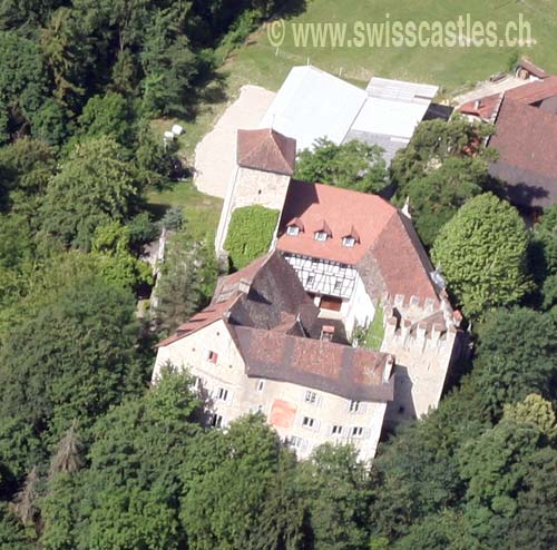 wildenstein
