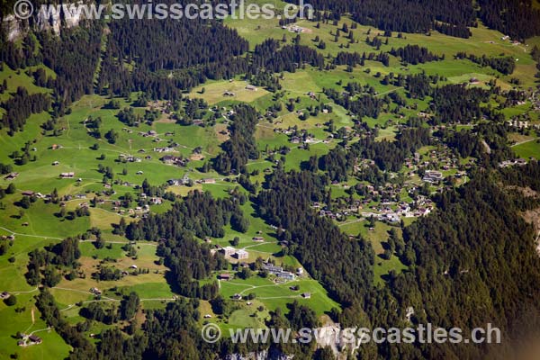 Braunwald