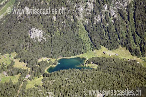 Arnisee