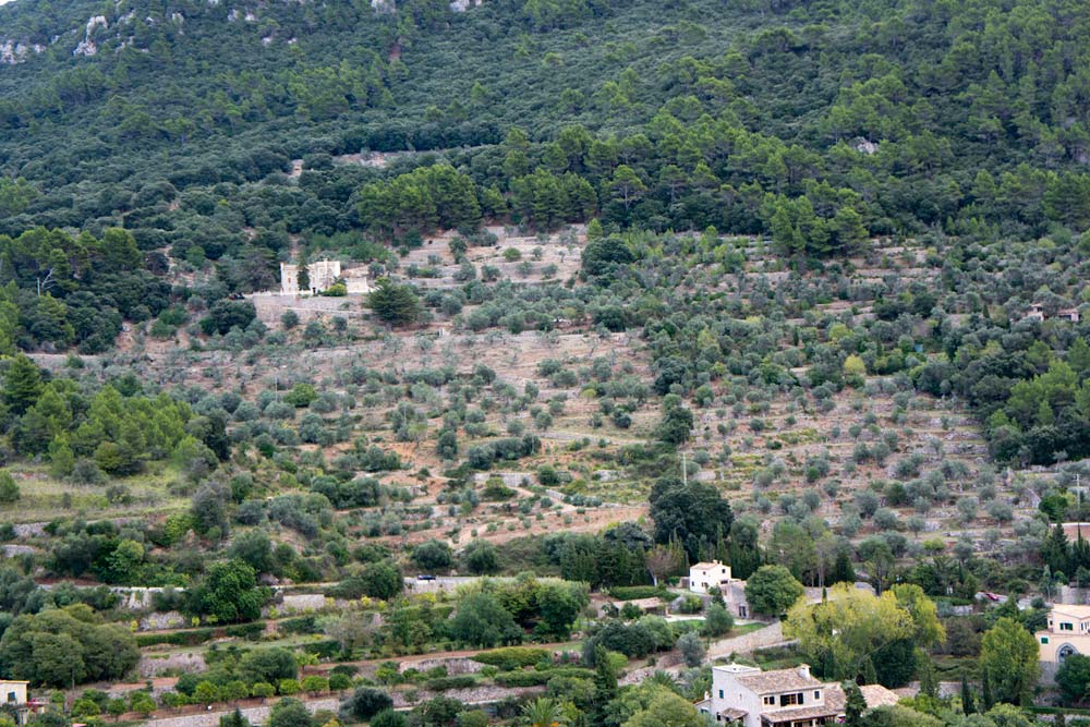 Majorque , Minorque, Valldemossa