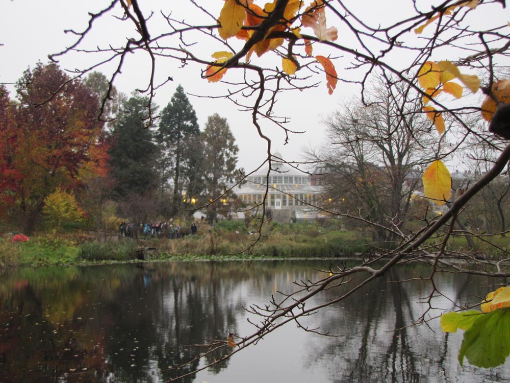 Copenhague, Jardin botanique