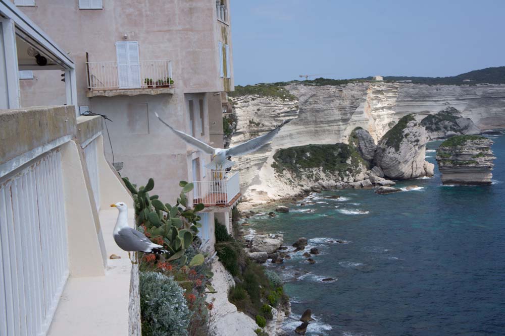 Voyage en Corse Bonifacio