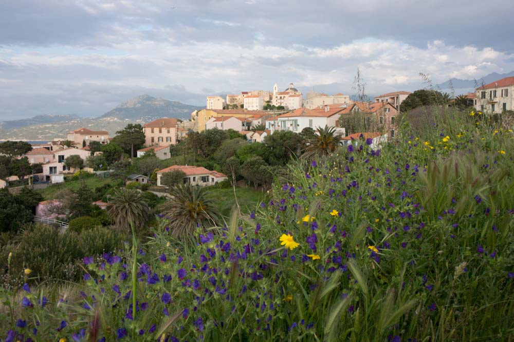 Voyage en Corse Calvi